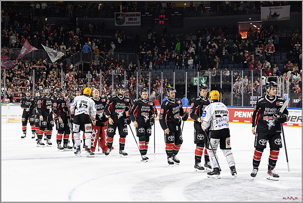 PENNY DEL 1; Kölner Haie - Fischtown Pinguins; Köln, 15.11.2024